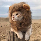 Cat Lion Mane Wig