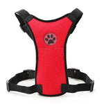 Dog Harness Leash With Adjustable Straps Keep your dog safe!