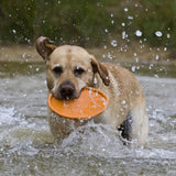New Large Dog Flying Discs for Training