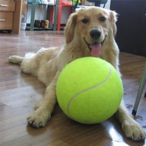24CM Giant Tennis Ball For Dogs