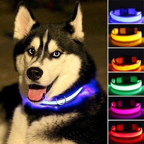Nylon LED Pet dog Collar