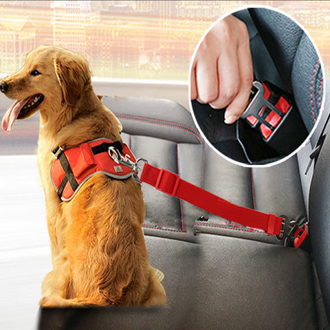 Vehicle Dog Seat Belt