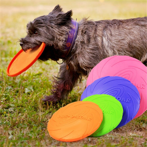 New Large Dog Flying Discs for Training