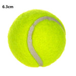24CM Giant Tennis Ball For Dogs