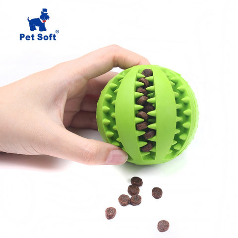 Funny Interactive Ball Chew Toy