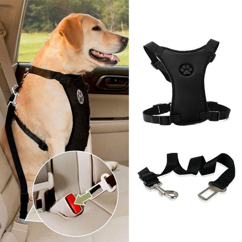 Dog Harness Leash With Adjustable Straps Keep your dog safe!