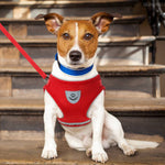 Nylon Mesh Pet Harnesses Vest