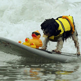 Pet Dog Life Jacket